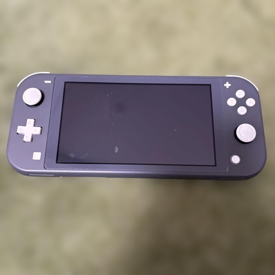 スイッチライト本体　ジャンク