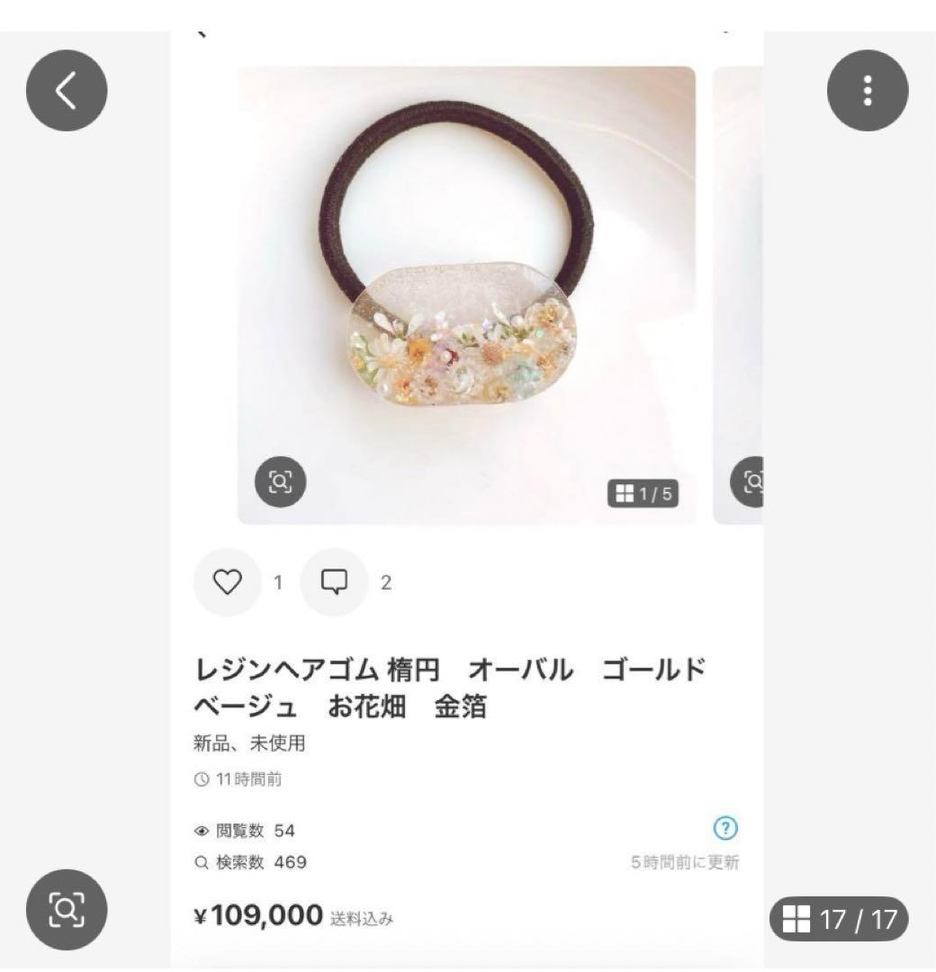 ひまういページ　ポニーフック4点　ヘアゴム 4点