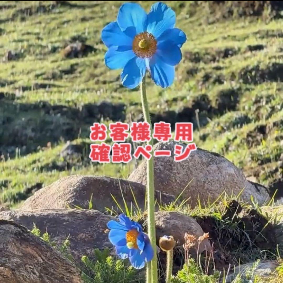 お客ページ　ネックレス１本