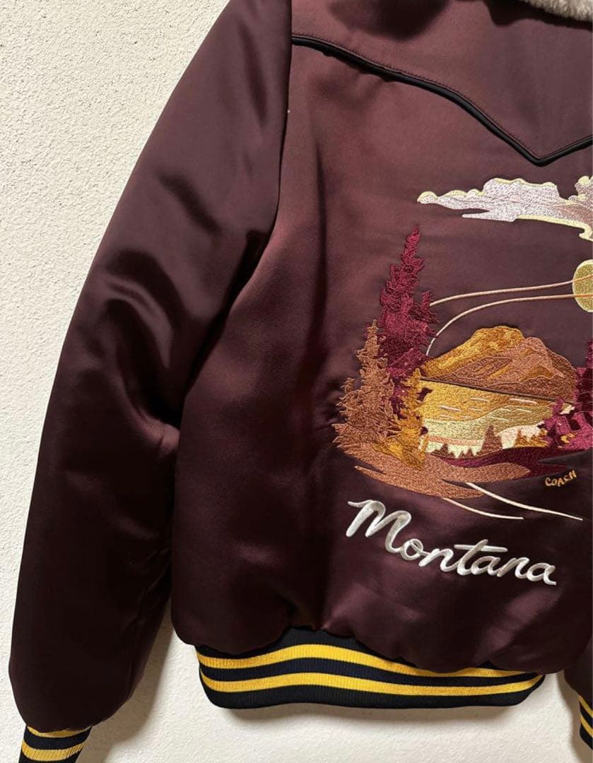 coach コーチ　スタジャン