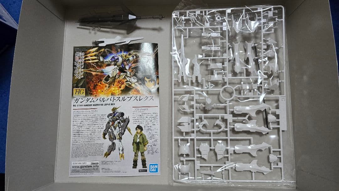 ガンプラ HGセット レア品