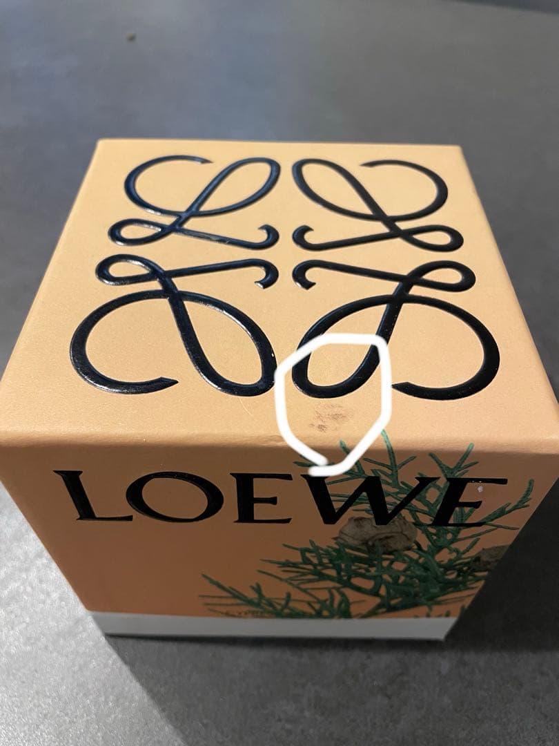 LOEWE キャンドル　サイプレスボール　スモール