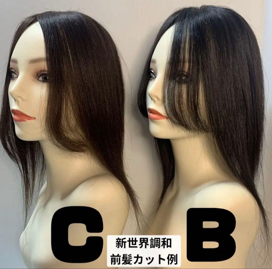 2025新世界　人毛　フルウィッグ　ウィッグ　シルクスキン　医療ウィッグ　レミー