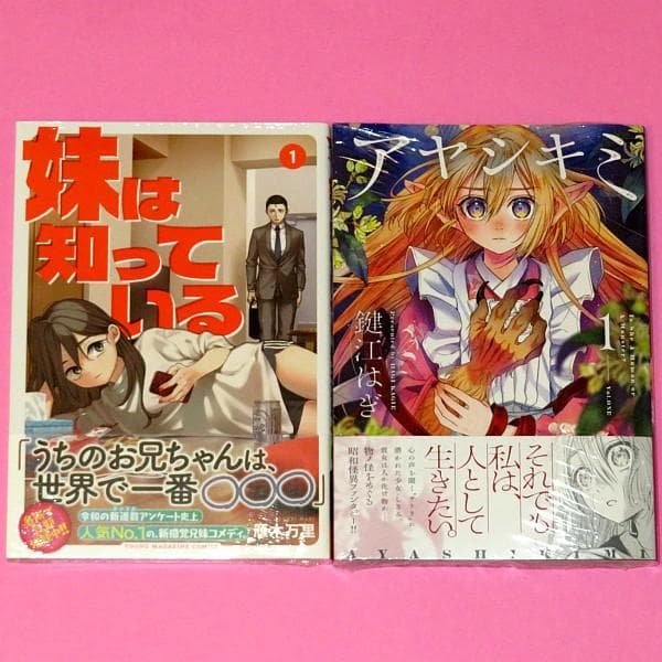 【3月新刊】妹は知っている 1 アヤシキミ 1