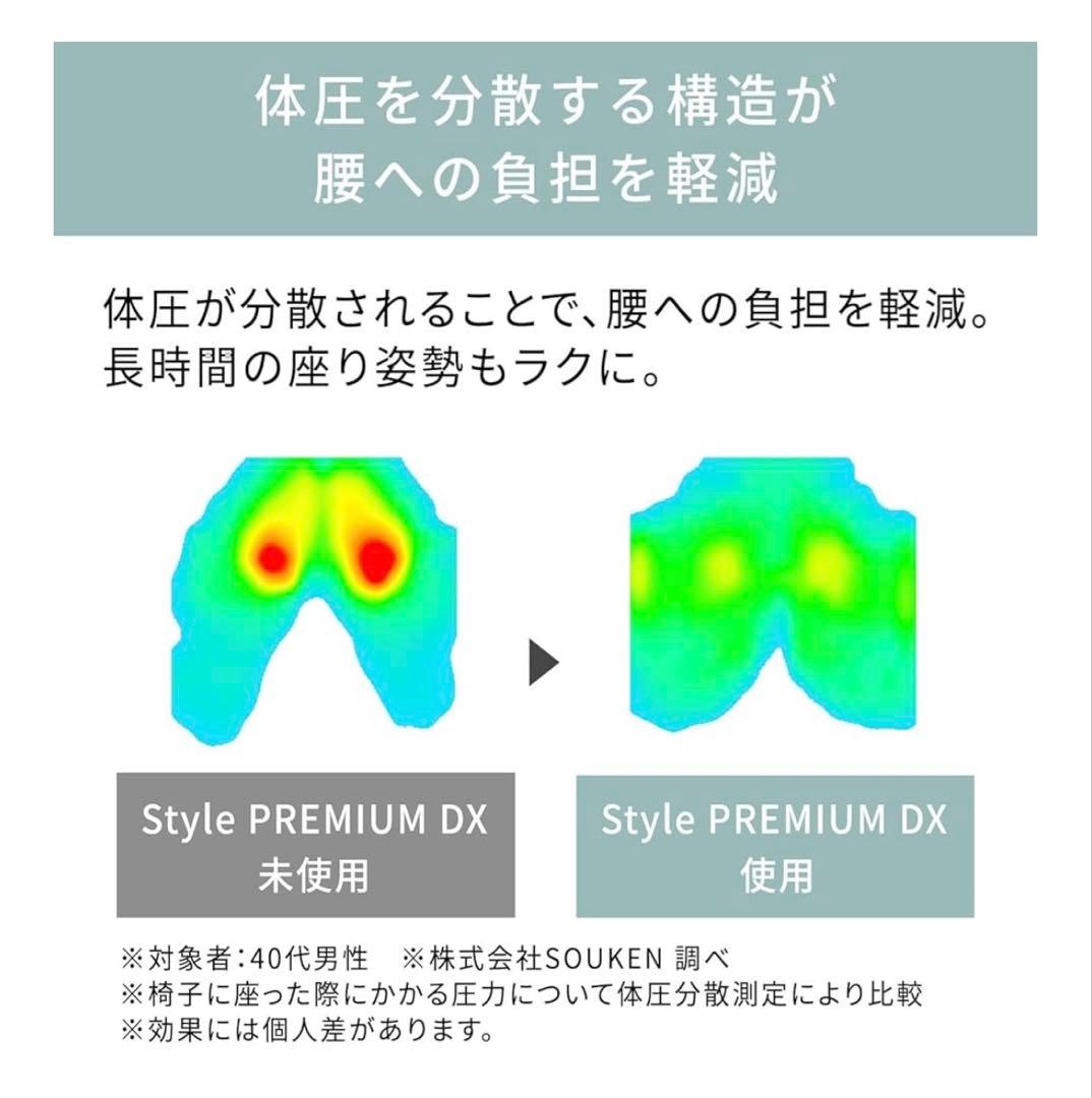 MTG エムティージー 骨盤サポート座椅子 Style PREMIUM DX 黒