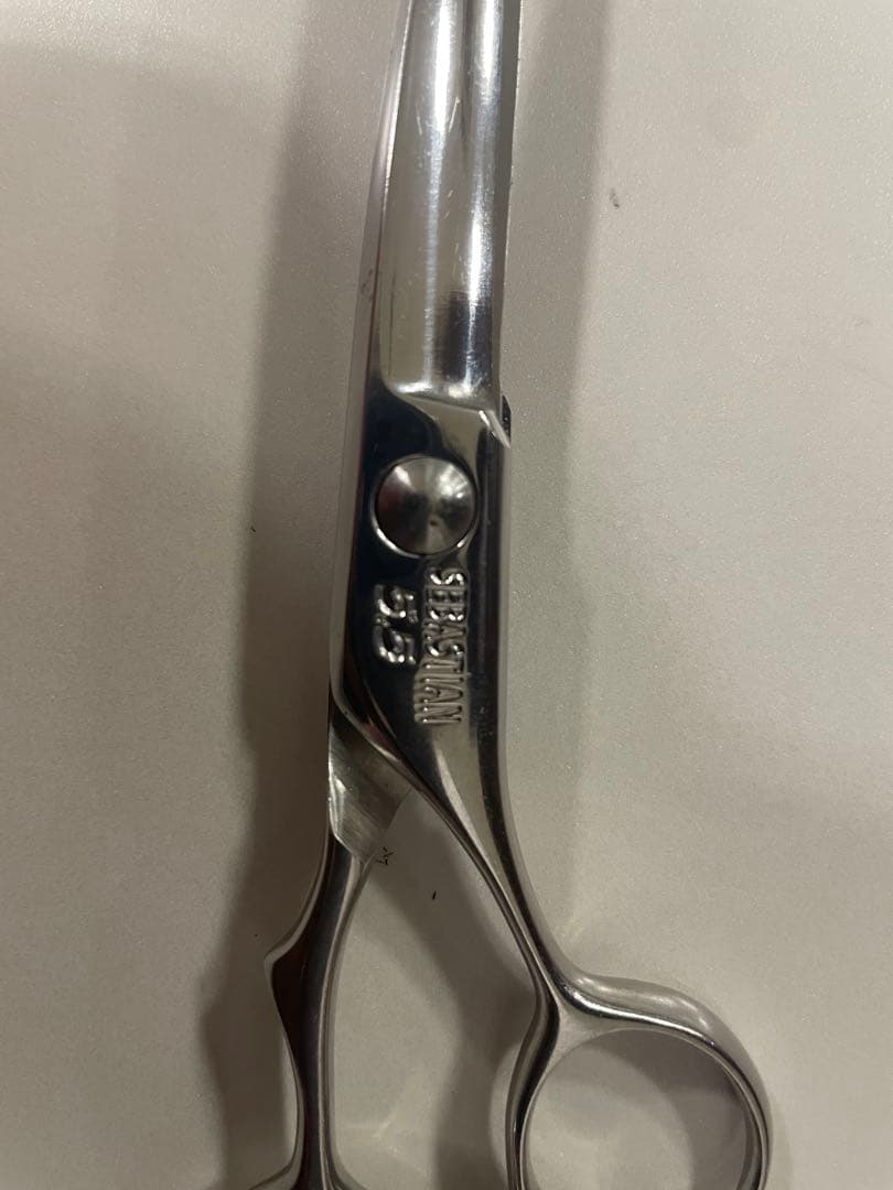 セヴァスチャン(ウェラ)シザー