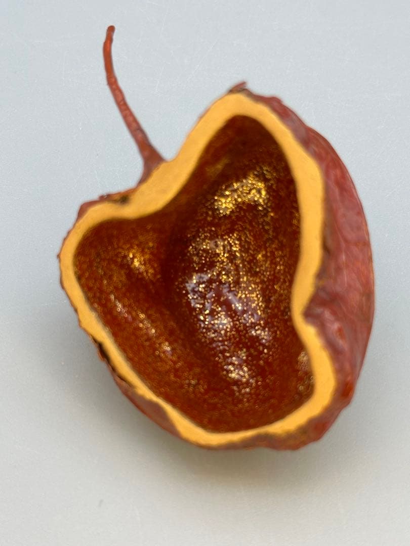 のんびり茶道具　香合　前端春斎　ホウヅキ