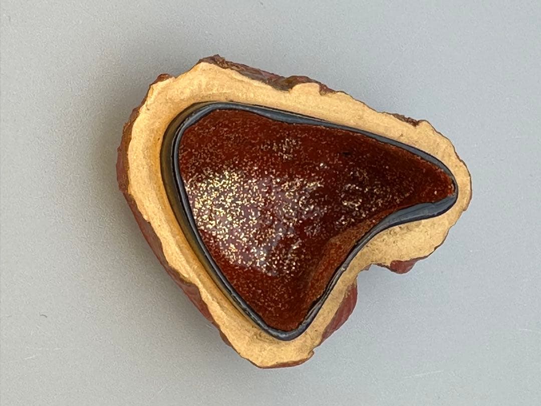 のんびり茶道具　香合　前端春斎　ホウヅキ