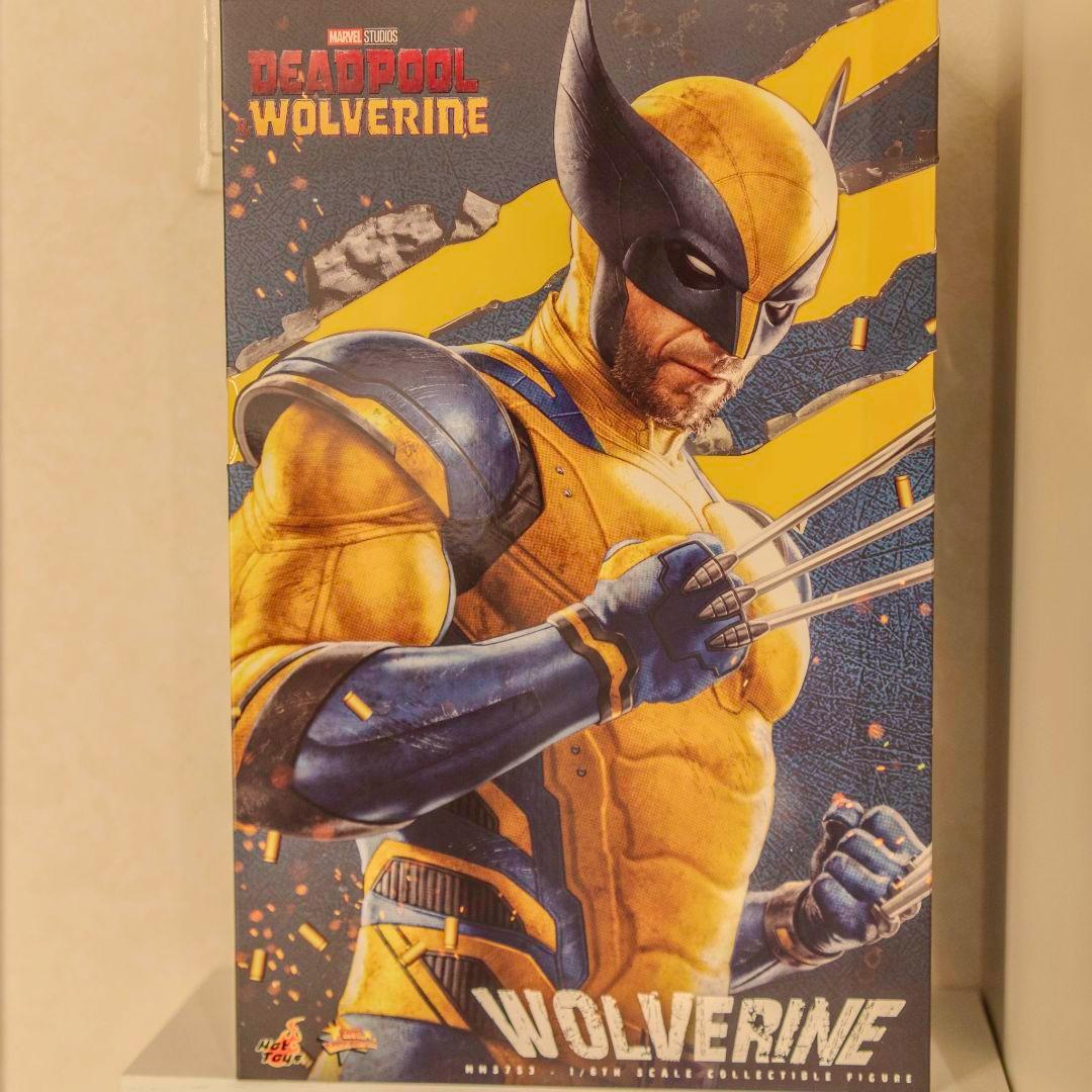 ホットトイズ ウルヴァリン デッドプール 通常版 リペイント