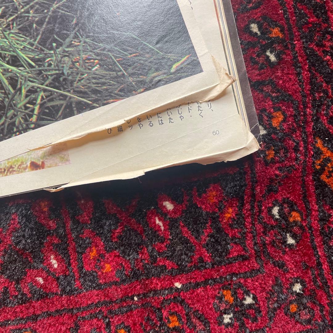 vintage an•an no.43