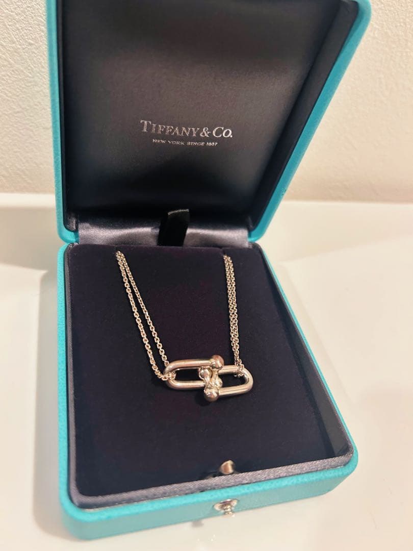 Tiffany & Co. ハードウェア　ラージダブルリンクネックレス