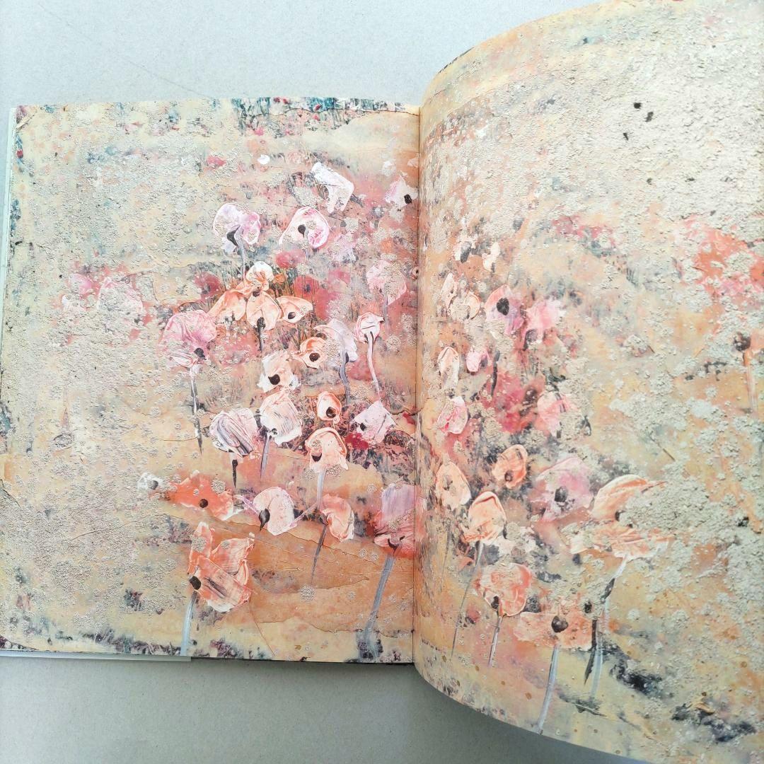 über euren Städten wird Gras wachsen/写真集