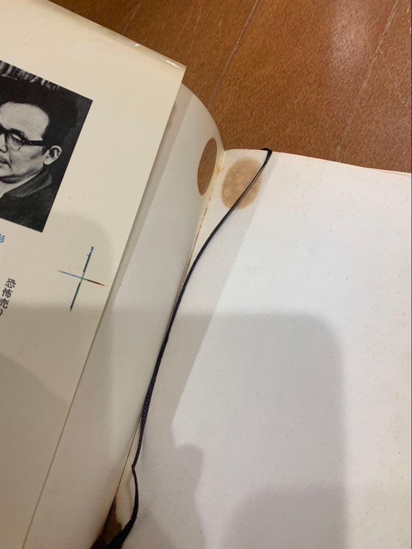 鬼太郎のベトナム戦記猫又日本奇人伝怪奇死人帳6冊 水木しげるサンコミ　非貸本