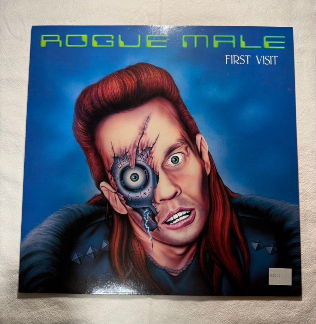 洋楽 ROGUE MALE / First Visit / LP
