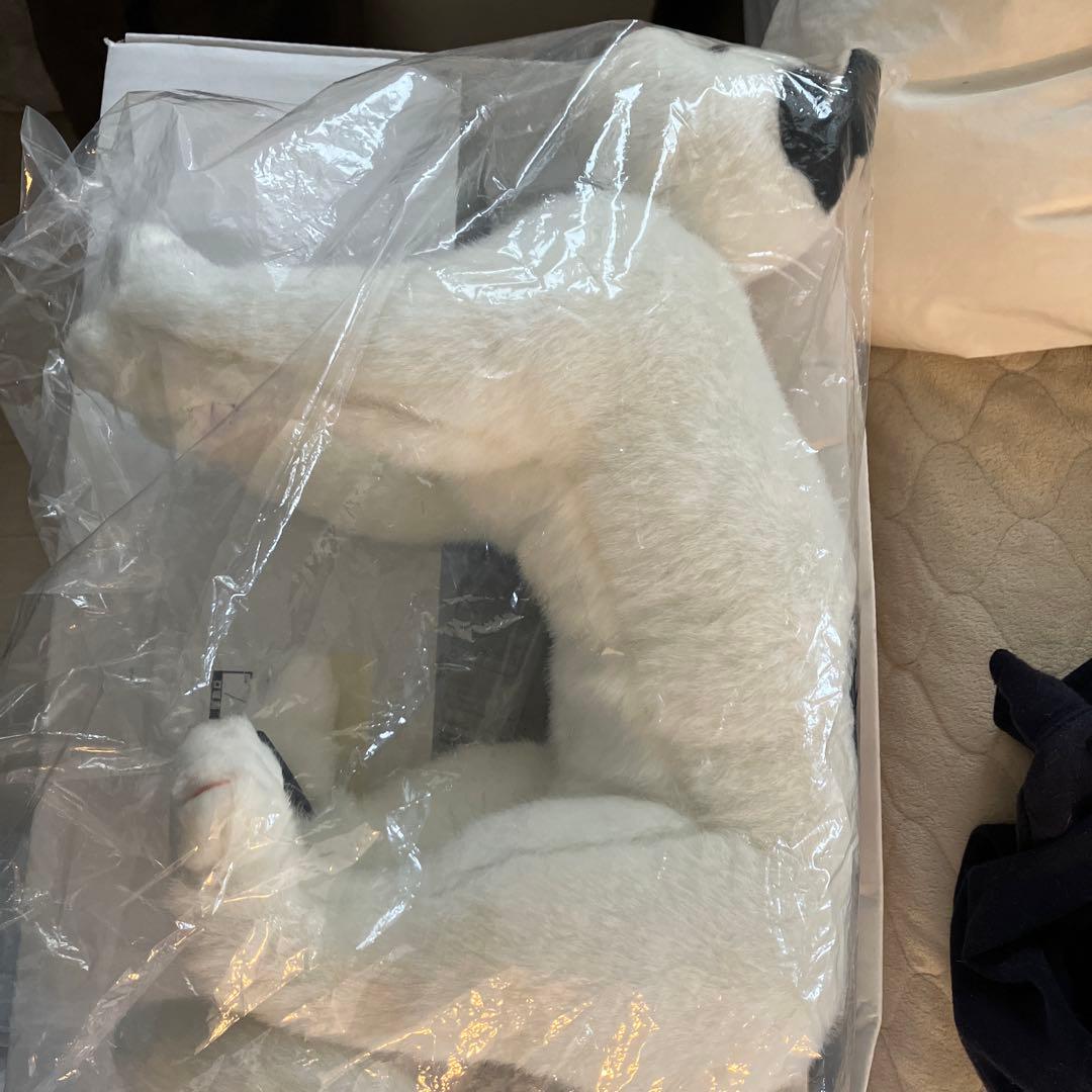 ねこにゃん　採血　保定　シュミレーター　愛玩動物看護師　動物病院