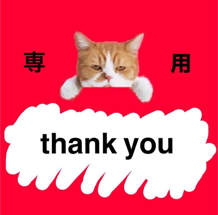 リモコン無し　SONY ソニー　ブルーレイレコーダー HDD 1TB 2チューナ