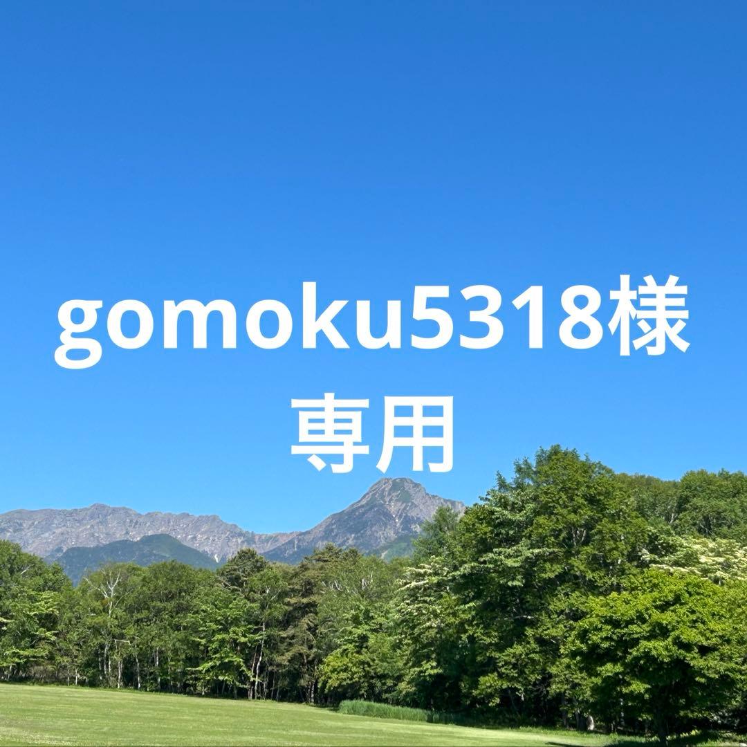 gomoku5318ページ　送料