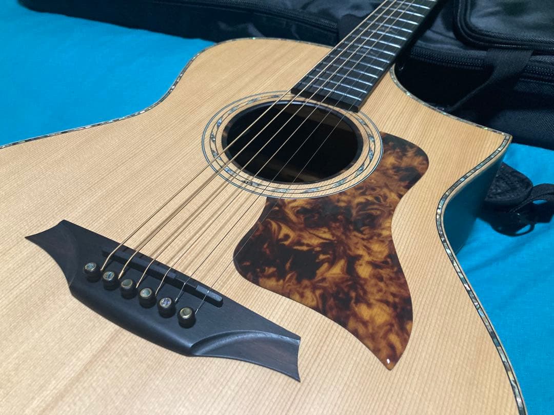 Bromo Guitars BAR5CE ブロモギター