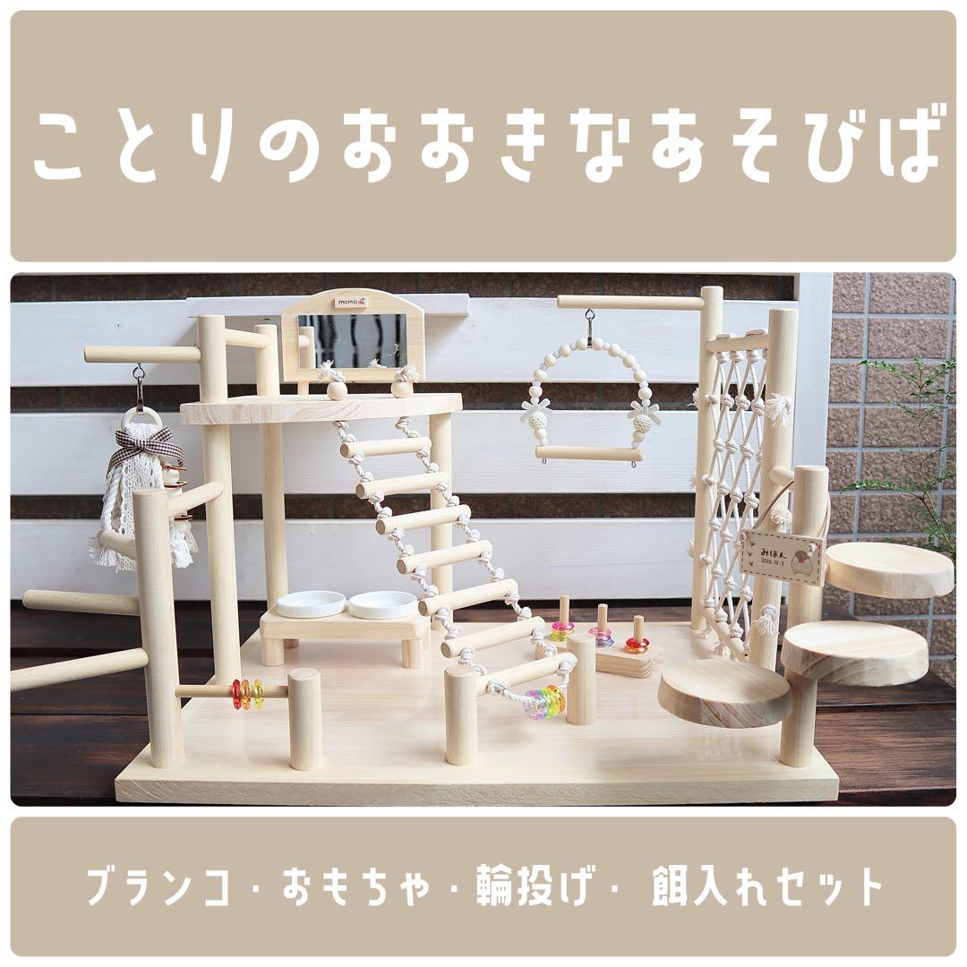 ことりのおおきなあそびば　インコ　バードジム　バードアスレチック　ブランコ