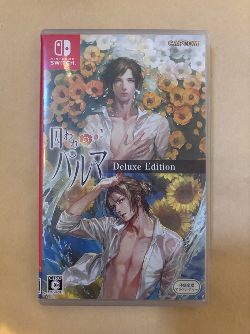Nintendo Switch 囚われのパルマ デラックス エディション