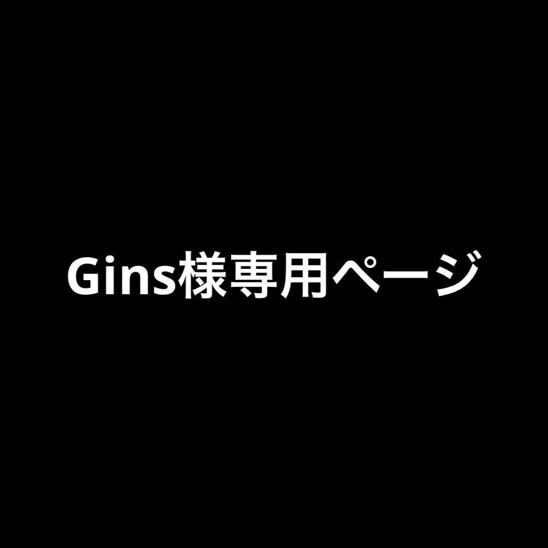 【Ginsページ】
