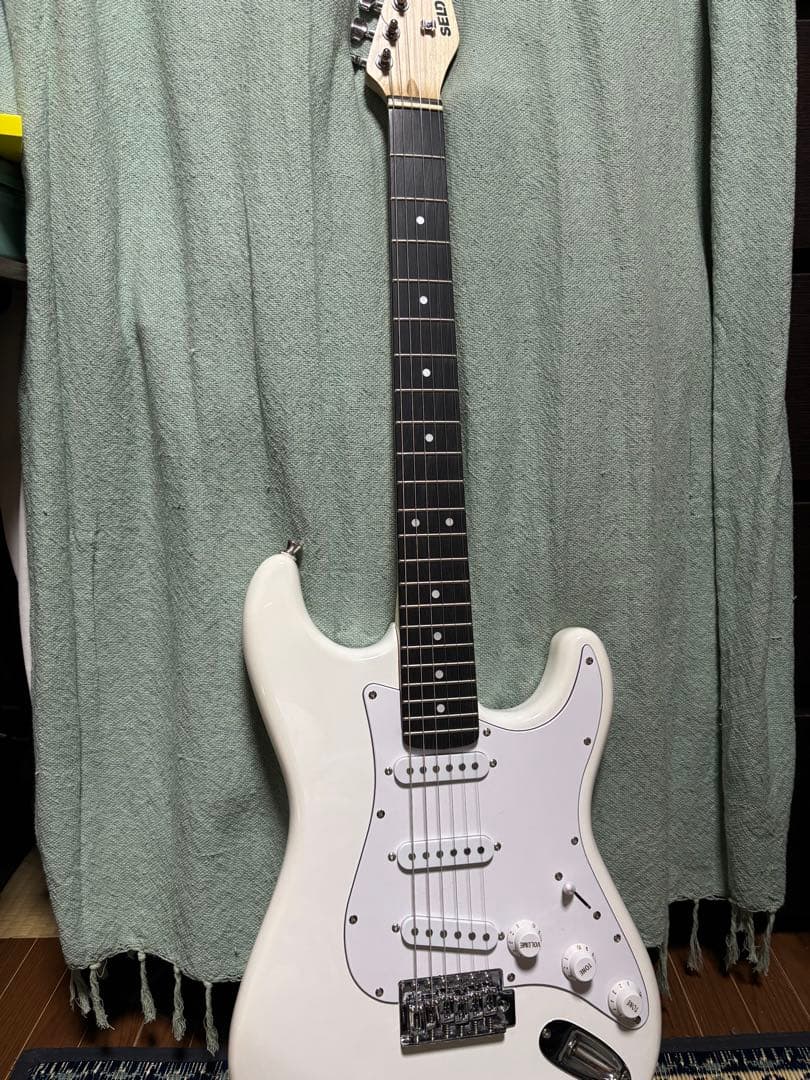 エレキギター　初心者セット