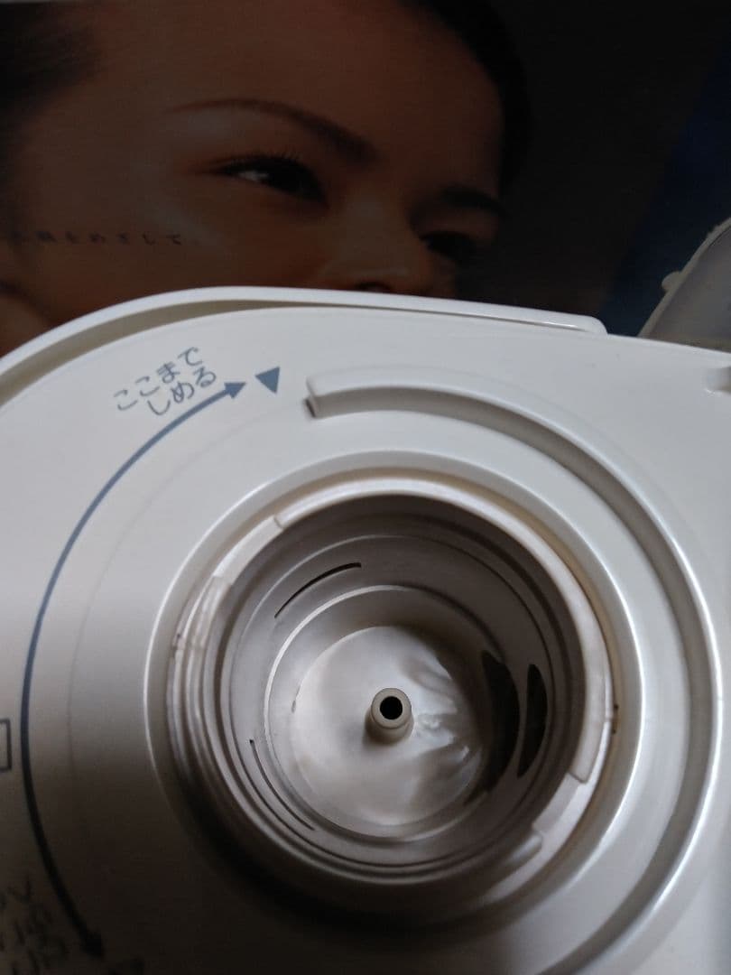 イオンスチーマー