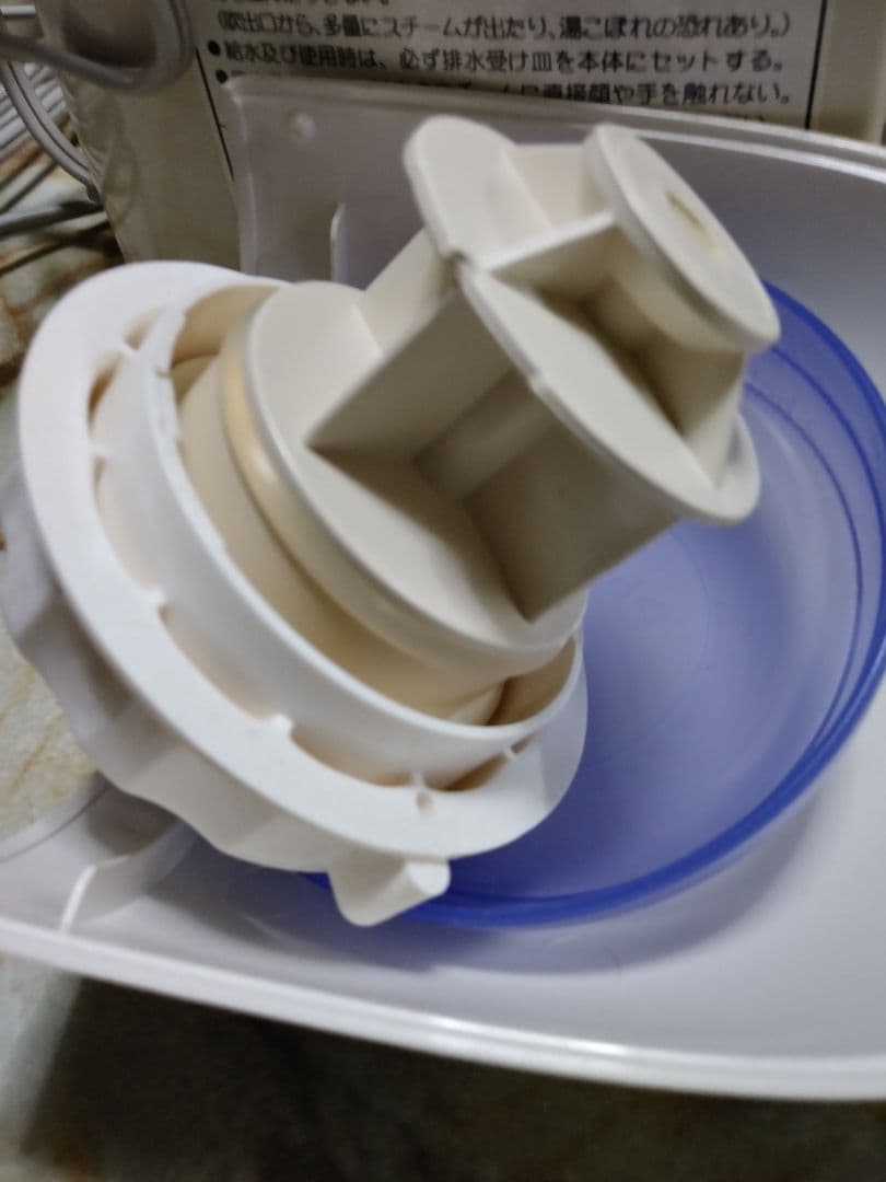 イオンスチーマー