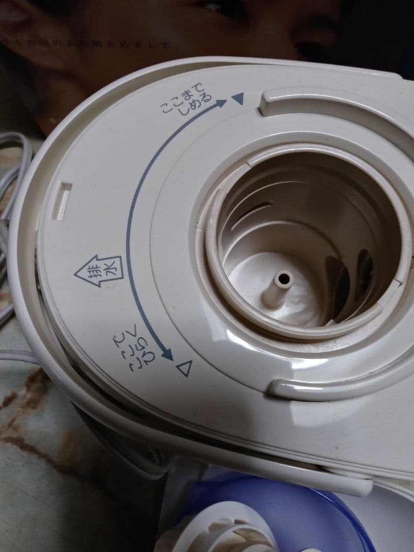 イオンスチーマー