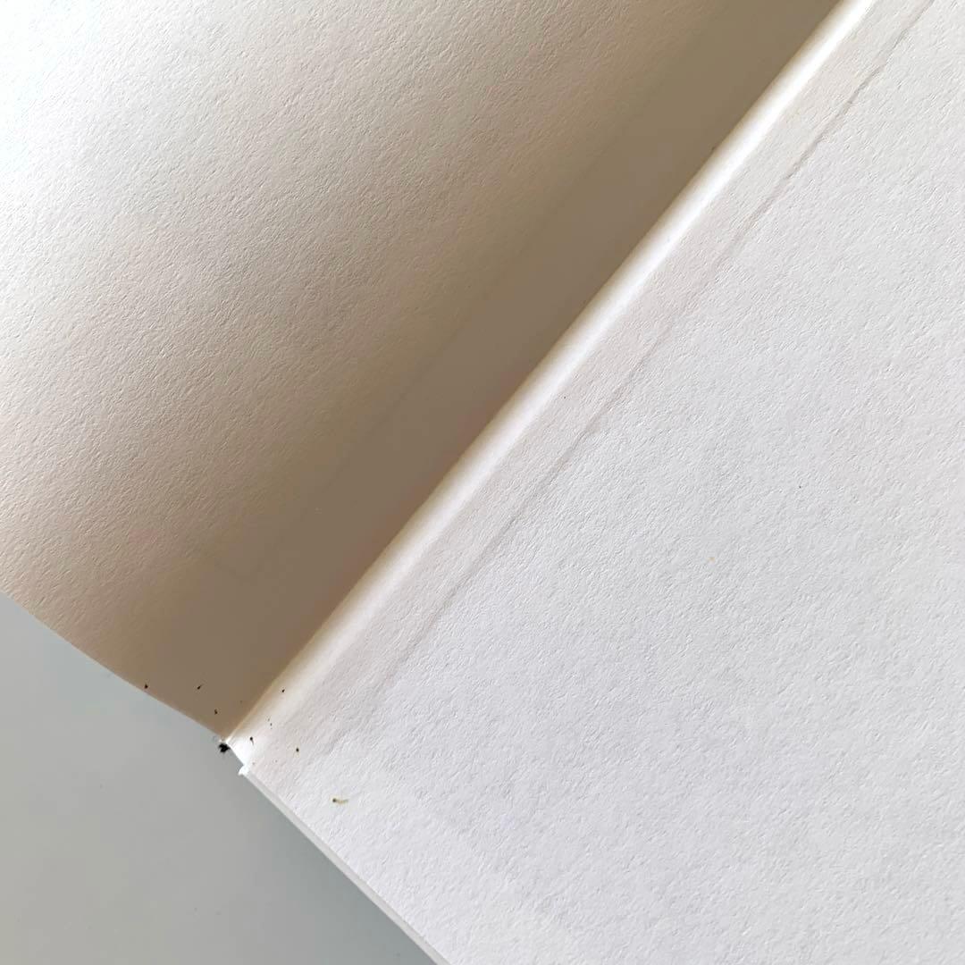 インド亜大陸のカメ　ドイツ語版　Die Schildkröten des‥