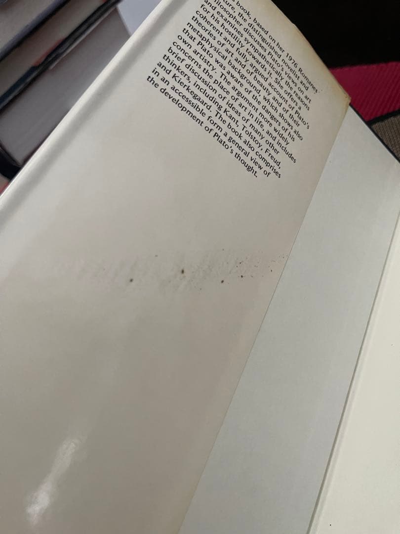 希少　Iris Murdoch The fire & the sun