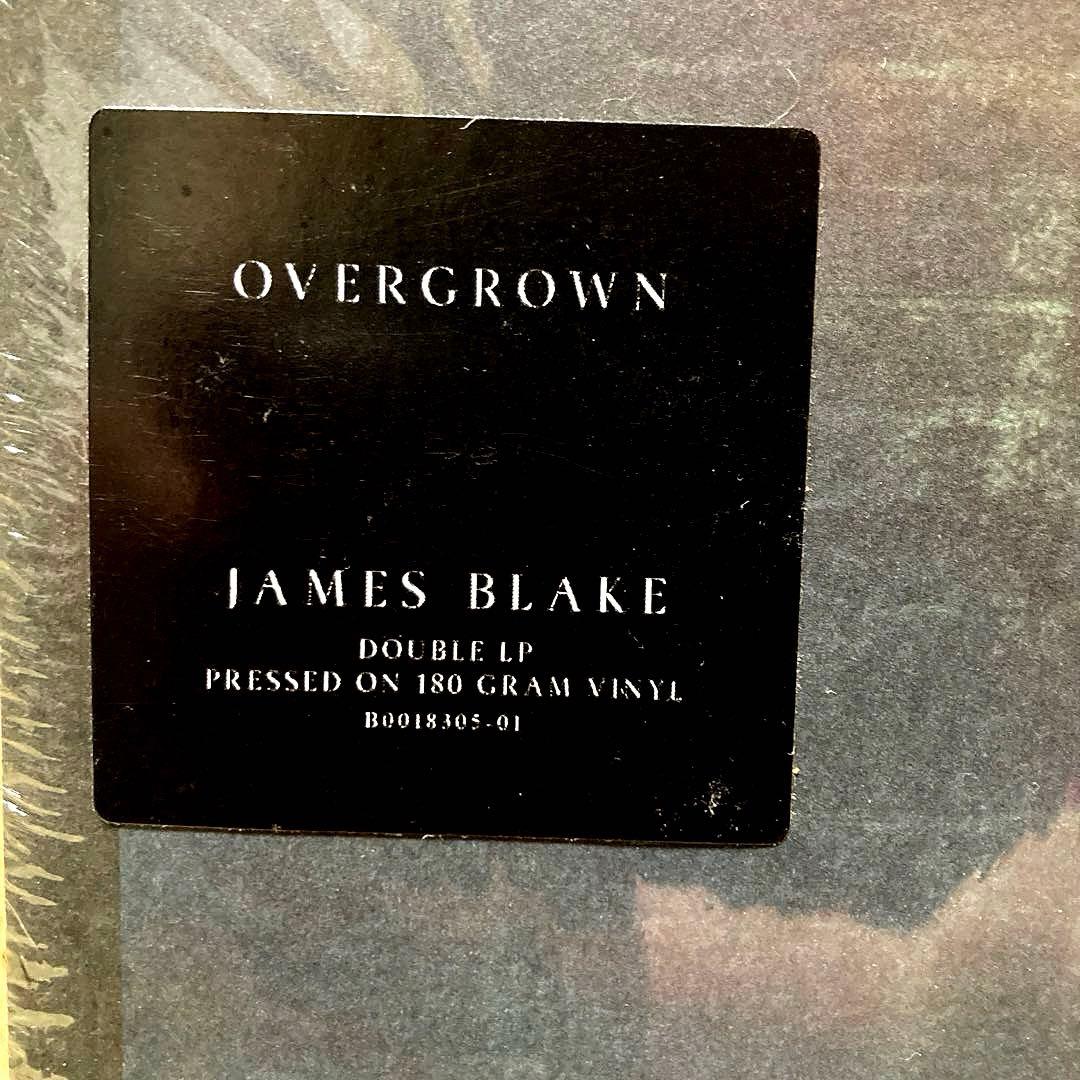 James Blake Overgrown ジェイムス・ブレイク レコード LP