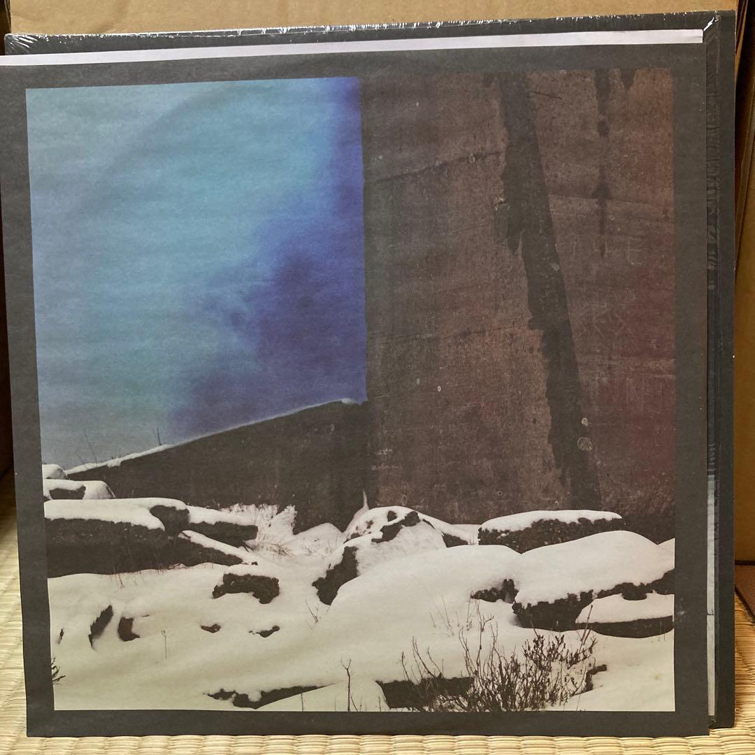 James Blake Overgrown ジェイムス・ブレイク レコード LP