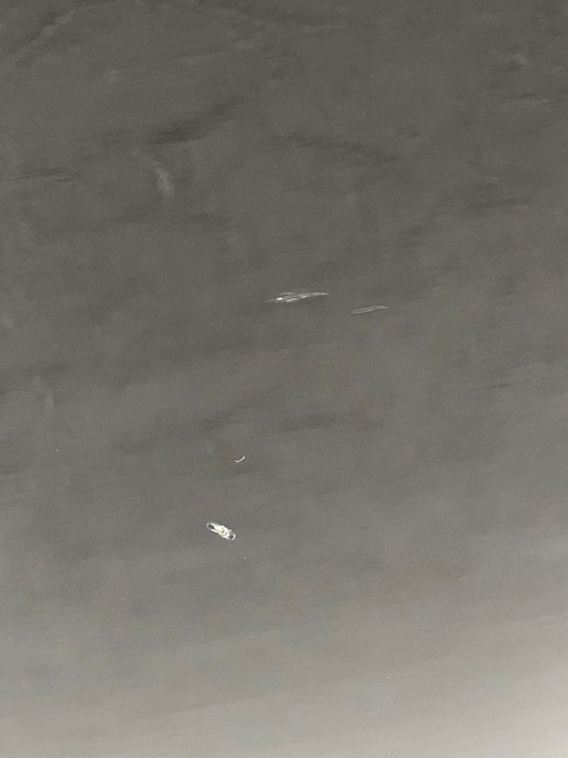 YAMAHA FS820 アコースティックギター ブラック その他 小道具