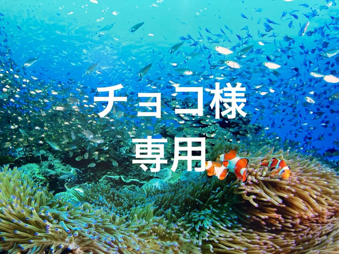 エンビロンAブーストセラムインテンス　モイスチャージェル2クリーム4