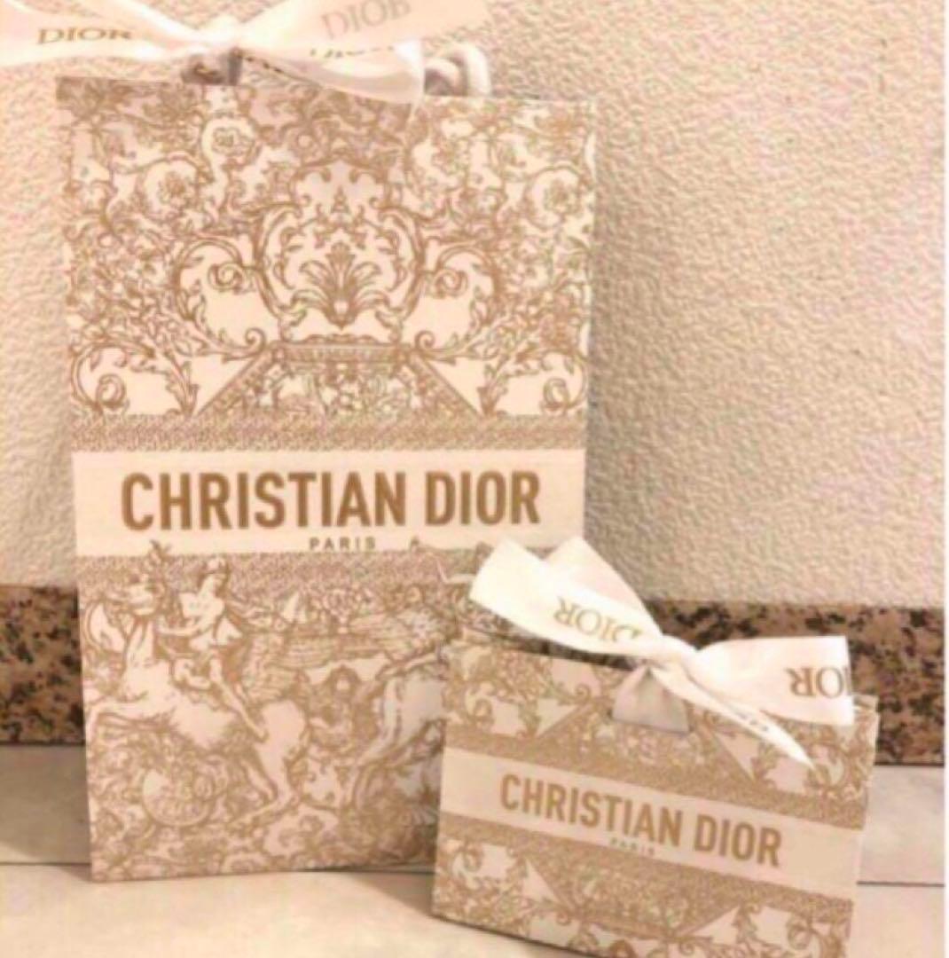 Dior アディクト クチュール リップスティックケース  チュイルリー