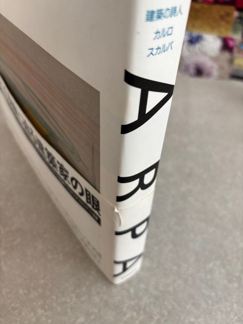 CARLO SCARPA 建築の詩人