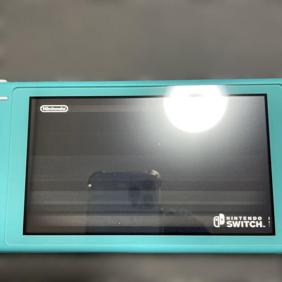 Nintendo Switch Lite ターコイズ　グレー　本体2台