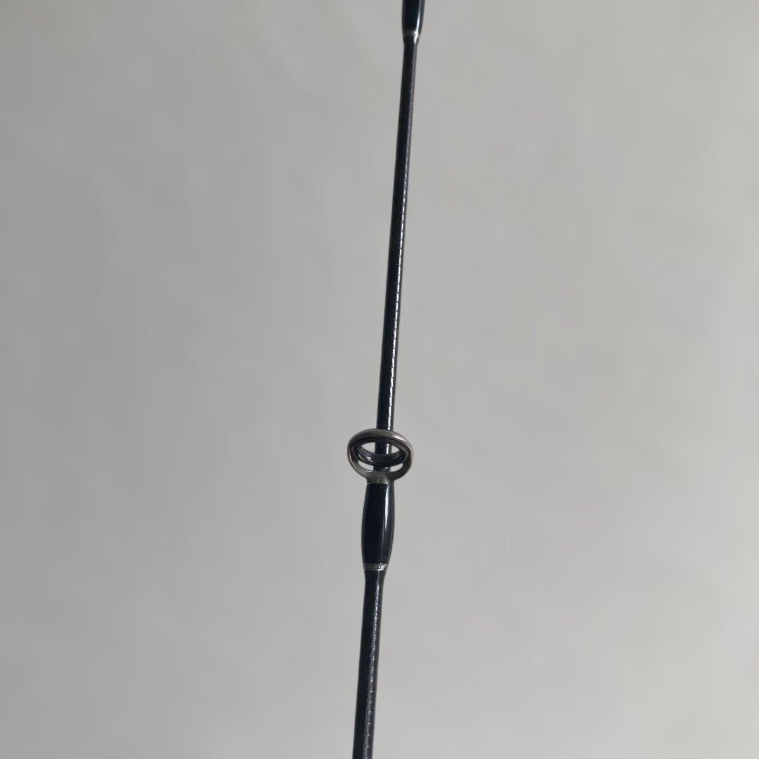 フィッシュマン ブリストベンダバール10.1M