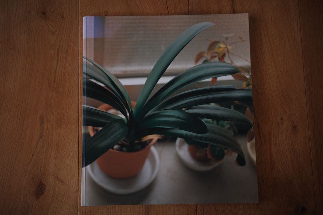 生きている 佐内正史 写真集