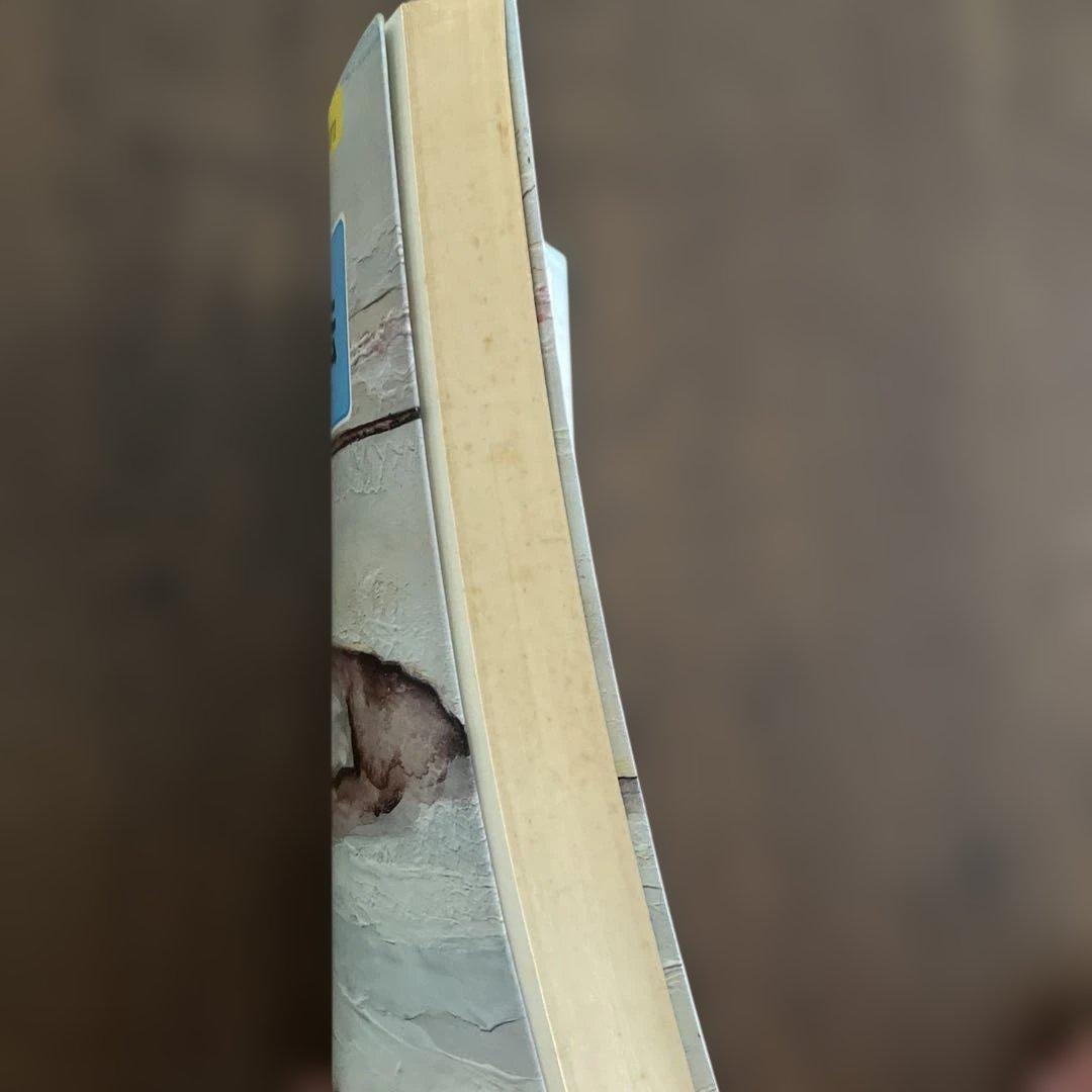 山田式分類英文法 大学入試 ニューチェック PART II