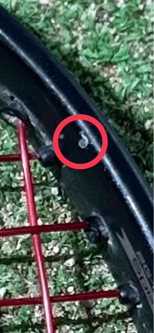 YONEX ボルトレイジ8s ライジングストーム29ポンド