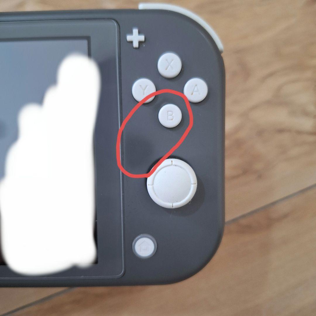 【動作確認済み】Nintendo Switch ライト グレー