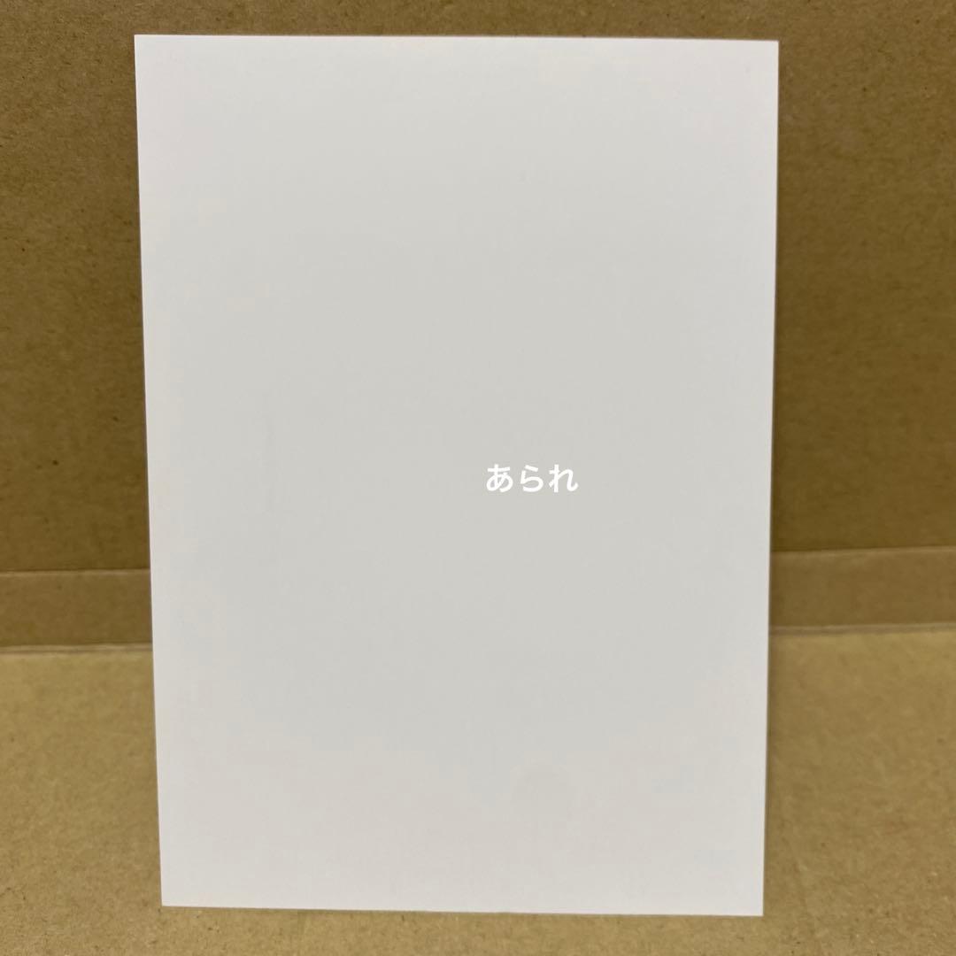 薬屋のひとりごと 小説 特典 イラストカード　ライトノベル　原作特典　1枚　希少