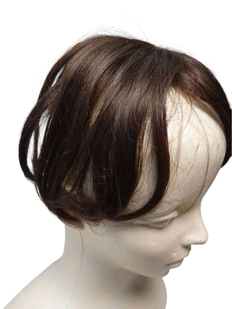 エアリッチ　ジュリアオージェ　部分ウィッグ　アートネイチャー