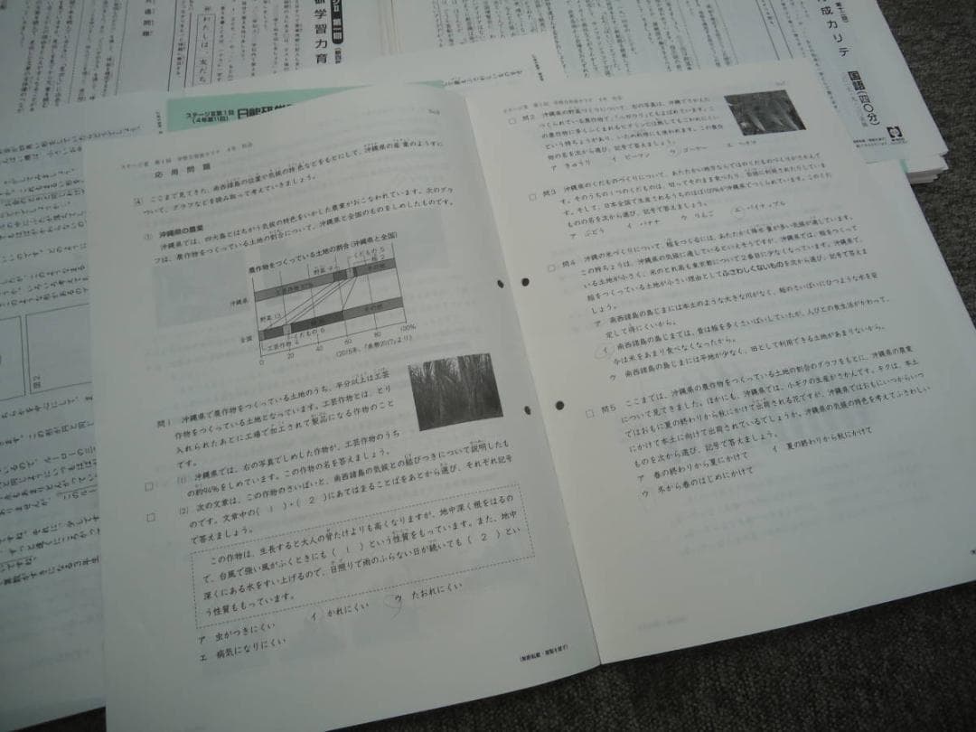 日能研4年　全国公開模試7回/学習力育成19回/春/夏/冬テスト2017年
