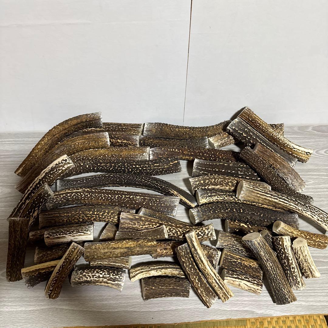 鹿の角　端材Ｂ　ハンドメイド用