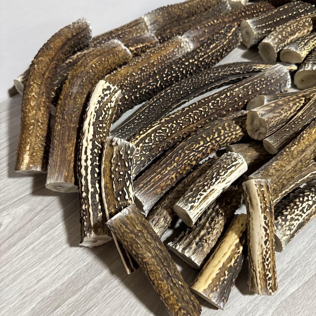 鹿の角　端材Ｂ　ハンドメイド用