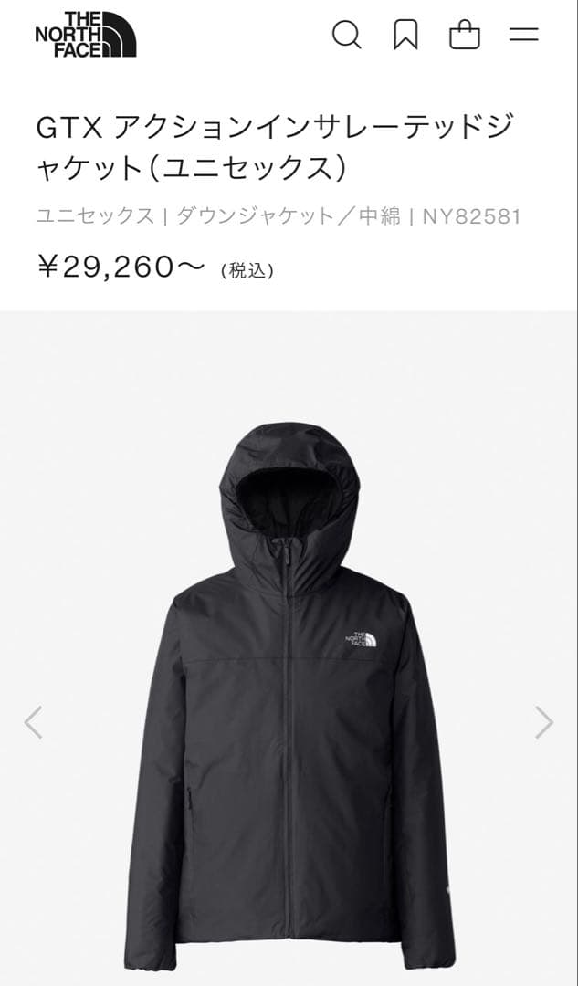 美品ノースフェイスGTX アクショニン サレード ジャケット XLブラック
