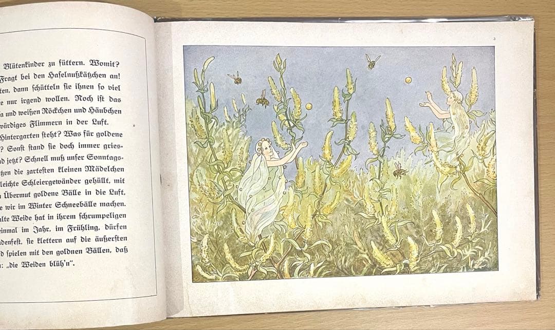 NO.302 超希少 レア 古書 アンティーク 洋書 児童書 ドイツ　妖精　小人